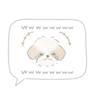 吹出しで一言シーズー/ゴールド/ショート（個別スタンプ：40）