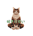 猫カフェマスター集（個別スタンプ：23）