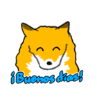 キツネの毎日使えるスタンプ（スペイン語）（個別スタンプ：1）