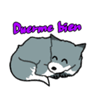 キツネの毎日使えるスタンプ（スペイン語）（個別スタンプ：6）