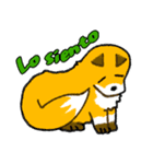 キツネの毎日使えるスタンプ（スペイン語）（個別スタンプ：13）