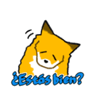 キツネの毎日使えるスタンプ（スペイン語）（個別スタンプ：25）