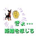 がちかわワンコ軍団（個別スタンプ：2）