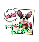 がちかわワンコ軍団（個別スタンプ：18）