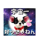 がちかわワンコ軍団（個別スタンプ：24）