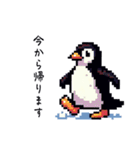 ペンギンの日常(煽り付き)（個別スタンプ：5）