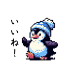 ペンギンの日常(煽り付き)（個別スタンプ：17）