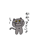 辛口にゃぁ（個別スタンプ：17）
