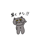 辛口にゃぁ（個別スタンプ：29）
