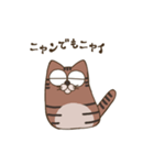 おとぼけ顔の猫ちゃん（個別スタンプ：1）