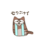 おとぼけ顔の猫ちゃん（個別スタンプ：7）