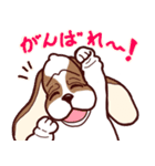 バセットハウンドの素敵な一日2（個別スタンプ：13）