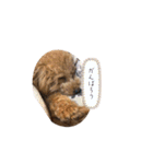 マックスとラッキーと愉快な仲間たち 2（個別スタンプ：20）