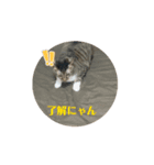 むちゃこて（個別スタンプ：3）