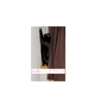 むちゃこて（個別スタンプ：6）