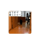 むちゃこて（個別スタンプ：8）