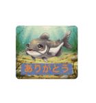 動く！お魚さんのstamp（個別スタンプ：13）