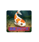動く！お魚さんのstamp（個別スタンプ：14）