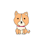犬と猫と仲間たち（個別スタンプ：1）
