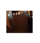 フーターズ仲間（個別スタンプ：12）