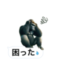 愉快なゴリラさん！（個別スタンプ：4）