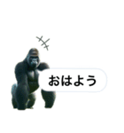 愉快なゴリラさん！（個別スタンプ：5）