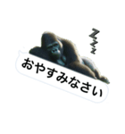 愉快なゴリラさん！（個別スタンプ：6）