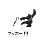 愉快なゴリラさん！（個別スタンプ：11）
