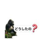 愉快なゴリラさん！（個別スタンプ：14）