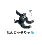 愉快なゴリラさん！（個別スタンプ：21）