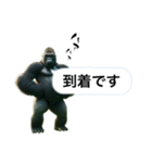 愉快なゴリラさん！（個別スタンプ：23）