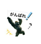 愉快なゴリラさん！（個別スタンプ：26）