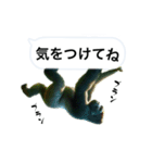 愉快なゴリラさん！（個別スタンプ：29）