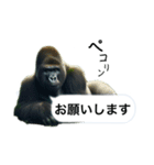 愉快なゴリラさん！（個別スタンプ：30）