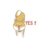 しば犬のふくたさん（個別スタンプ：2）