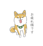しば犬のふくたさん（個別スタンプ：4）
