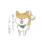 しば犬のふくたさん（個別スタンプ：5）