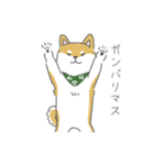 しば犬のふくたさん（個別スタンプ：6）