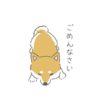 しば犬のふくたさん（個別スタンプ：8）