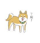 しば犬のふくたさん（個別スタンプ：9）