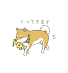 しば犬のふくたさん（個別スタンプ：10）