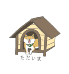 しば犬のふくたさん（個別スタンプ：12）