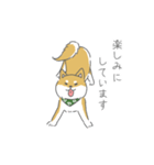 しば犬のふくたさん（個別スタンプ：17）