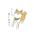 しば犬のふくたさん（個別スタンプ：18）