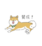 しば犬のふくたさん（個別スタンプ：19）