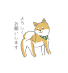 しば犬のふくたさん（個別スタンプ：20）