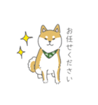 しば犬のふくたさん（個別スタンプ：21）