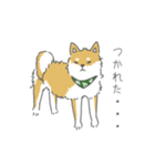しば犬のふくたさん（個別スタンプ：22）