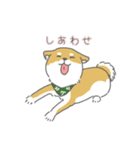 しば犬のふくたさん（個別スタンプ：23）