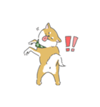 しば犬のふくたさん（個別スタンプ：24）